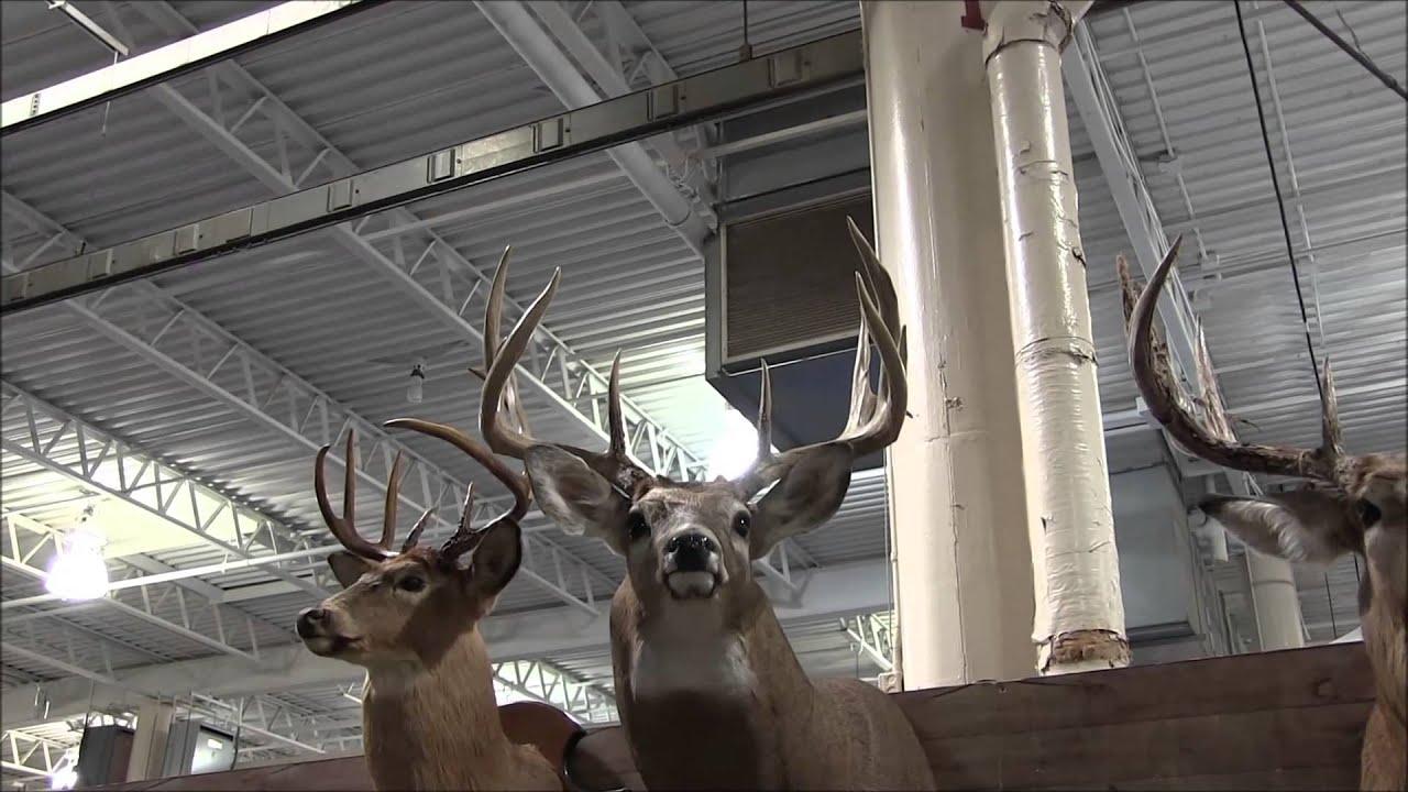 2014 Ohio Deer & Turkey Expo Why They Call Ohio The BUCKeye State Part I