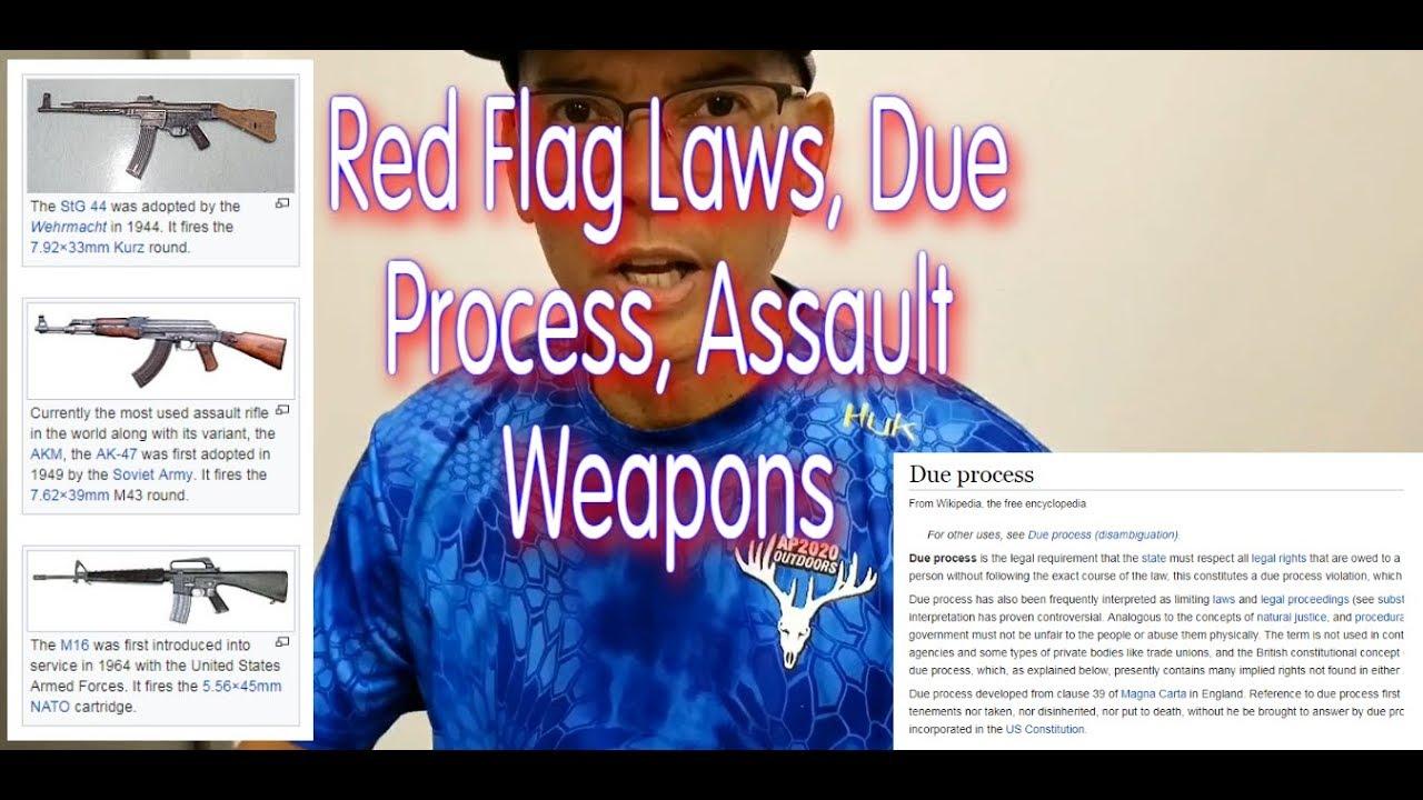 Red Flag Laws Due Process Assault Weapons